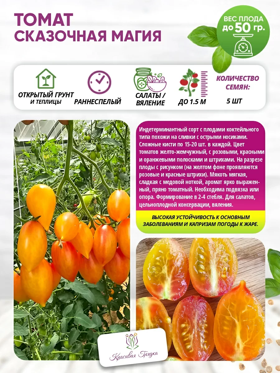 Сказочная магия 500