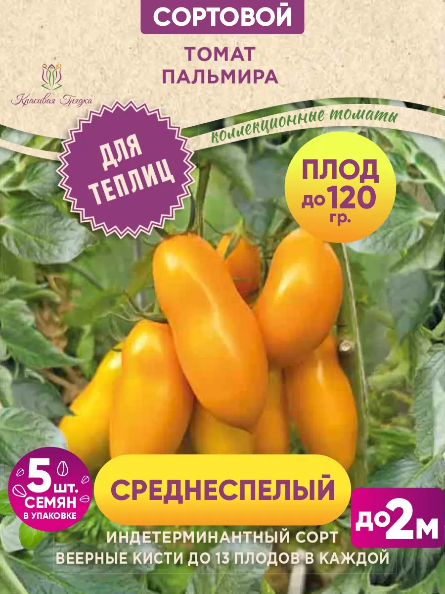 Пальмира 400