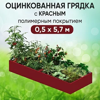 Грядка красная (0,5 х 5,7)