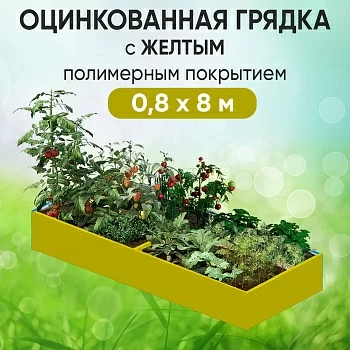 Грядка желтая (0,8 х 8)