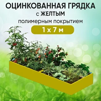 Грядка желтая (1 х 7)
