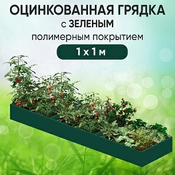 Грядка зеленая (1 х 1)