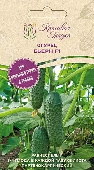 Огурец Бьерн F1 (Красивая Грядка)