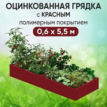Грядка красная (0,6 х 5,5)