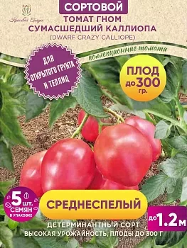 Гном сумасшедший каллиопа